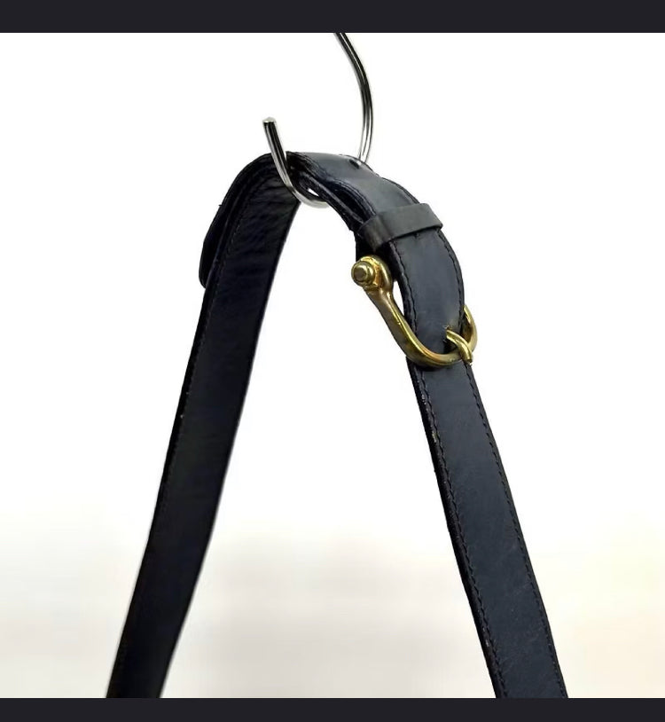 CELINE Black x Gold Horse Carriage Crossbody Bag