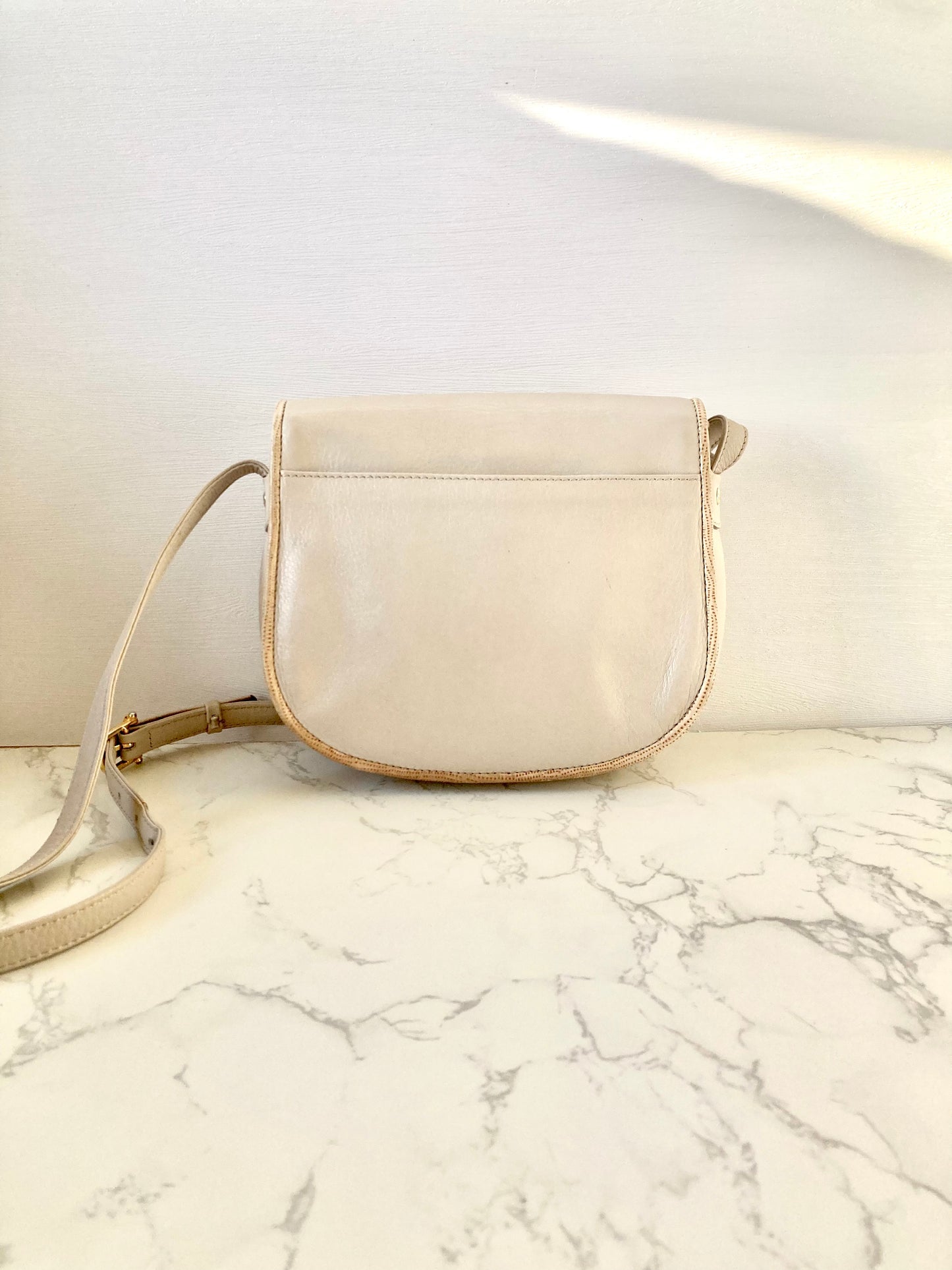 CELINE Rare White Gold Triomphe Coin Crossbody Bag