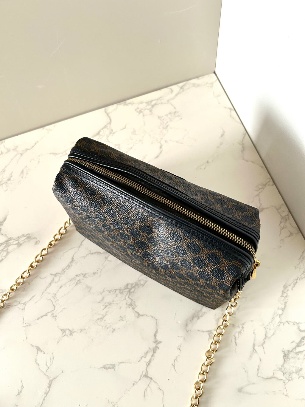 CELINE Rare Medium Cloud Black Old Flower Side Bag / Diagonal Bag