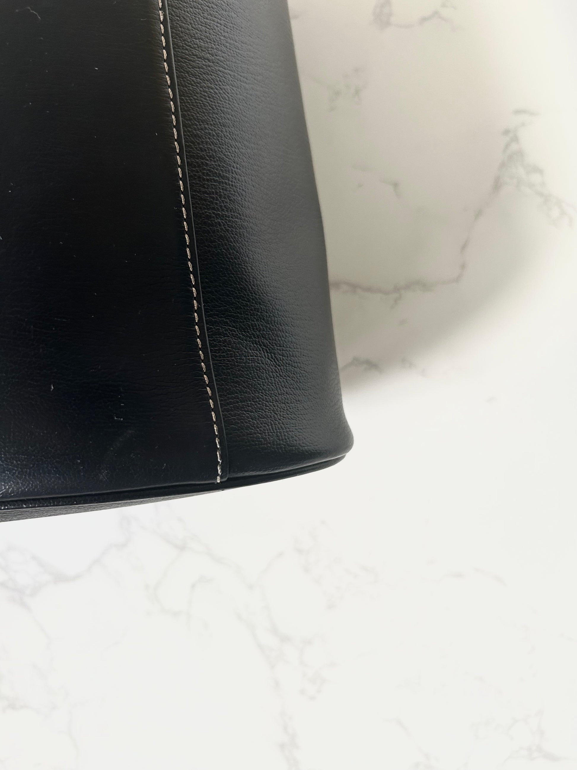 LOEWE gold snake bone black leather box dual-purpose side backpack/oblique backpack/handbag