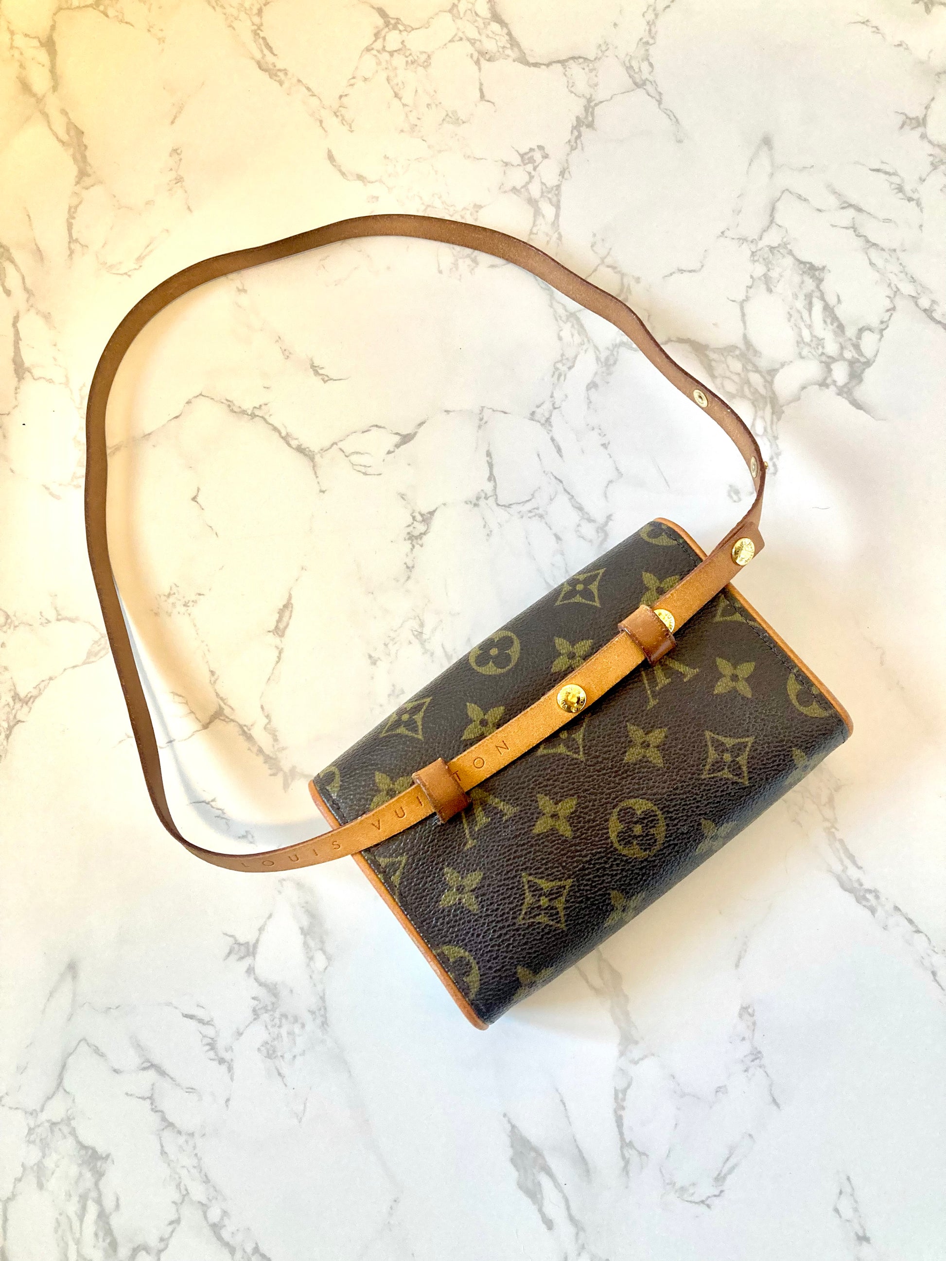 LOUIS VUITTON LV Monogram Belt / Shoulder Two-way Bag