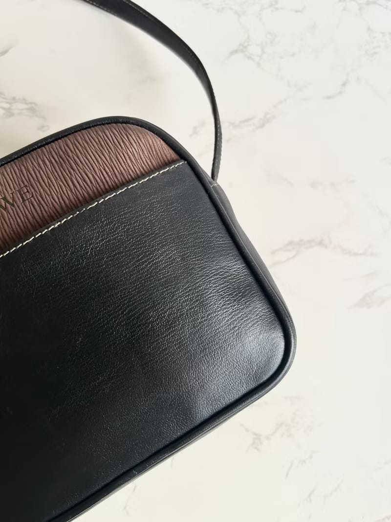 Loewe蛇骨古董相機包/側背包/斜背包/單肩包
