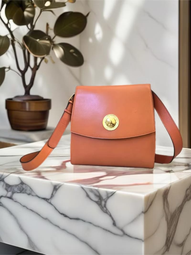Rare second-hand Celine caramel brown pressed planet leather tofu shoulder bag/side bag