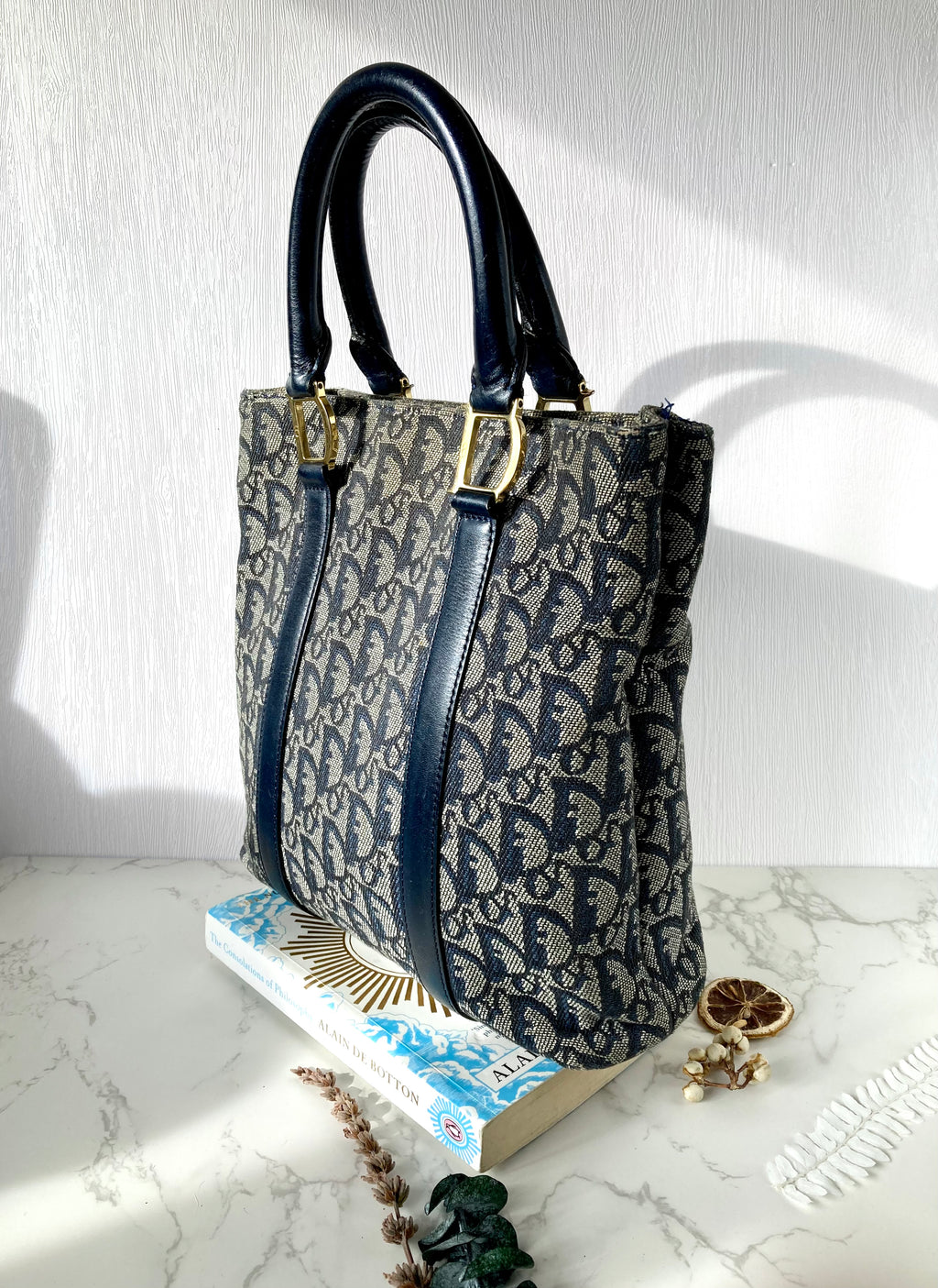 CHRISTIAN DIOR Navy Trotter Monogram Tote Bag