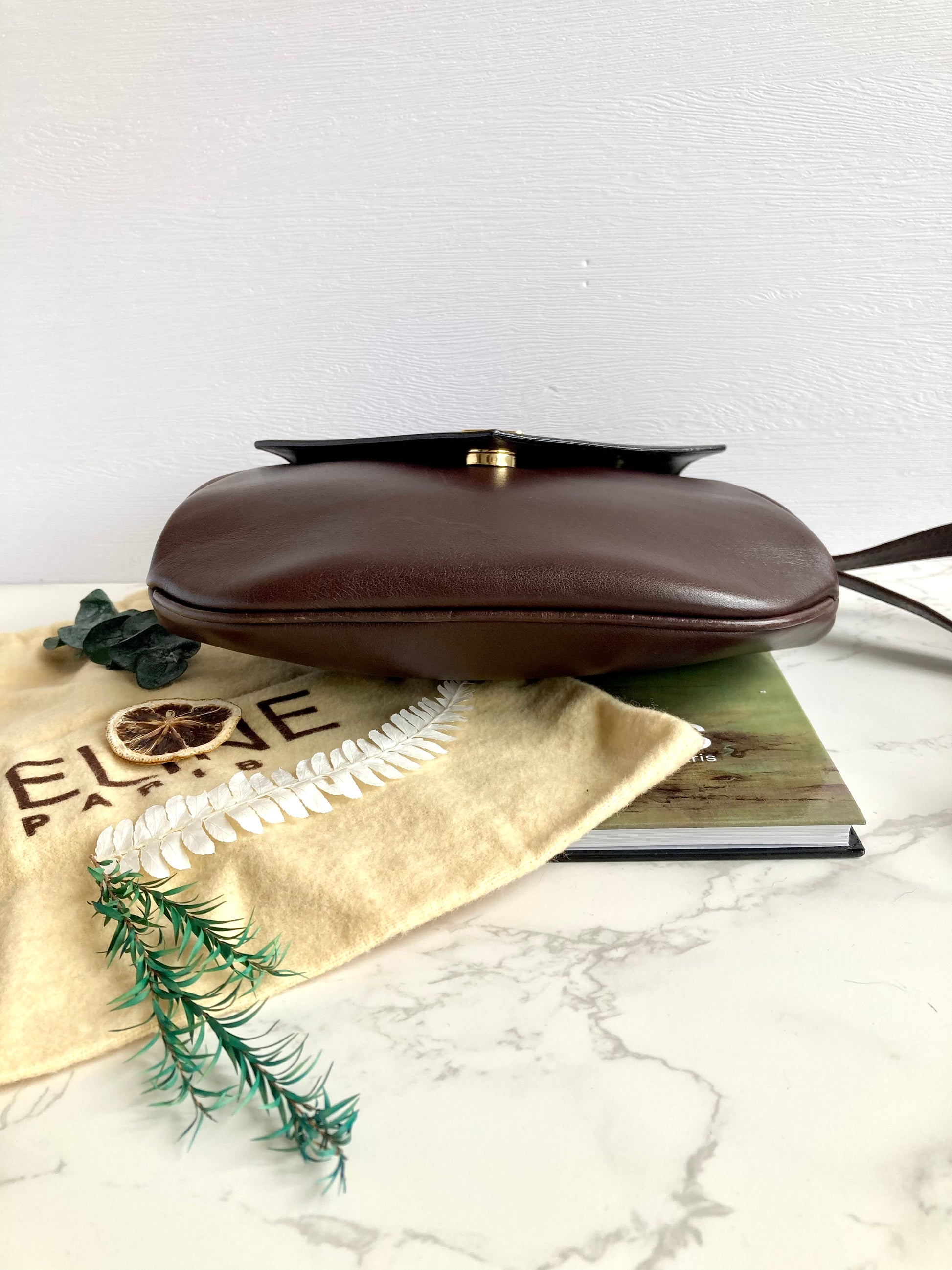 CELINE Triomphe Small Leather Bag