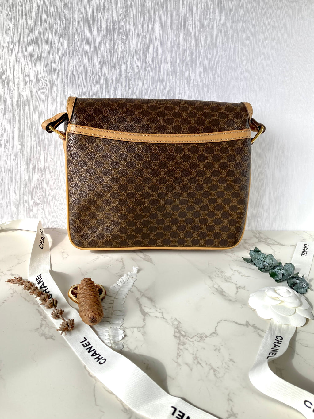 CELINE Monogram Camera Crossbody Bag
