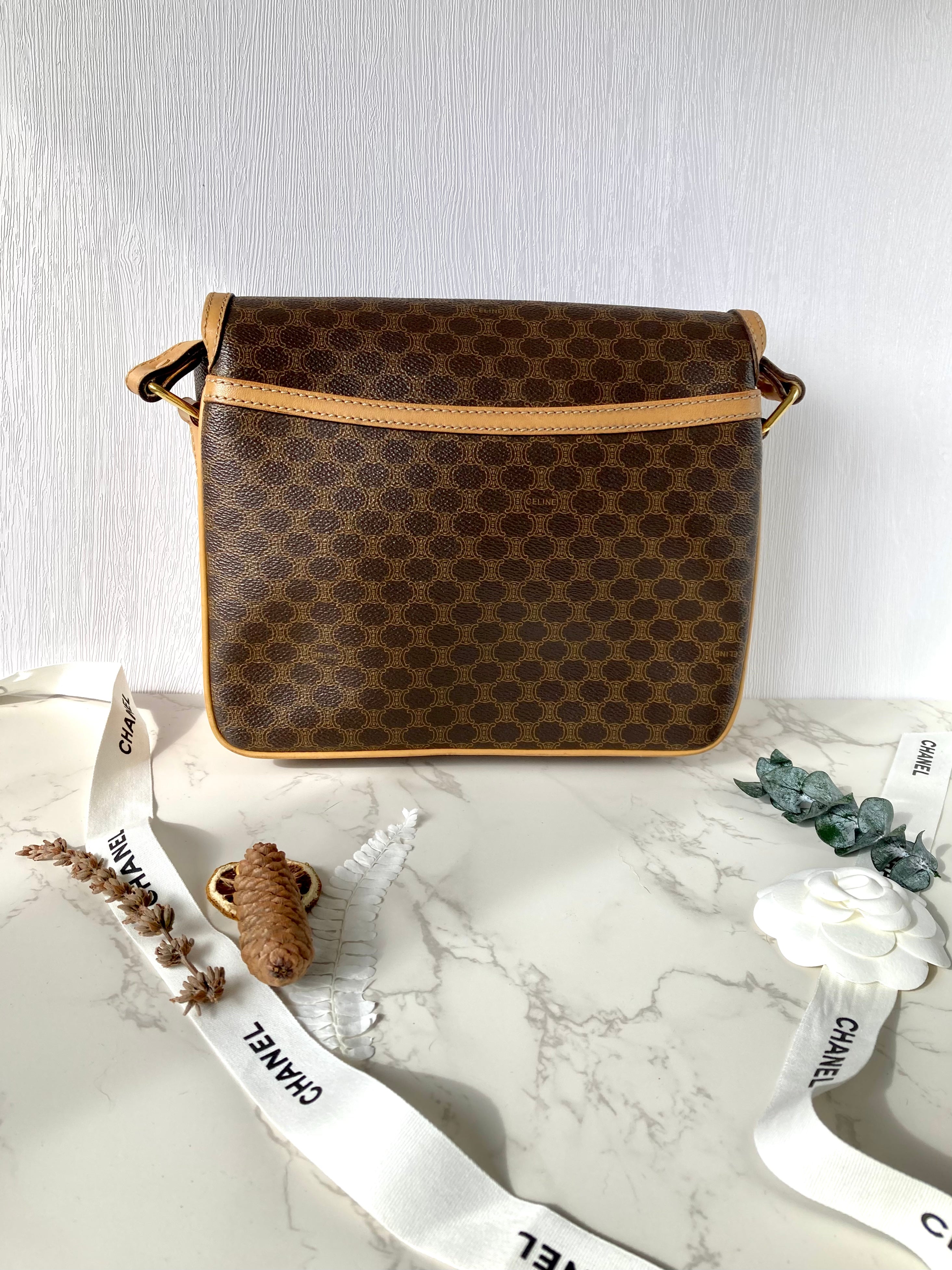 CELINE Monogram Camera Crossbody Bag 