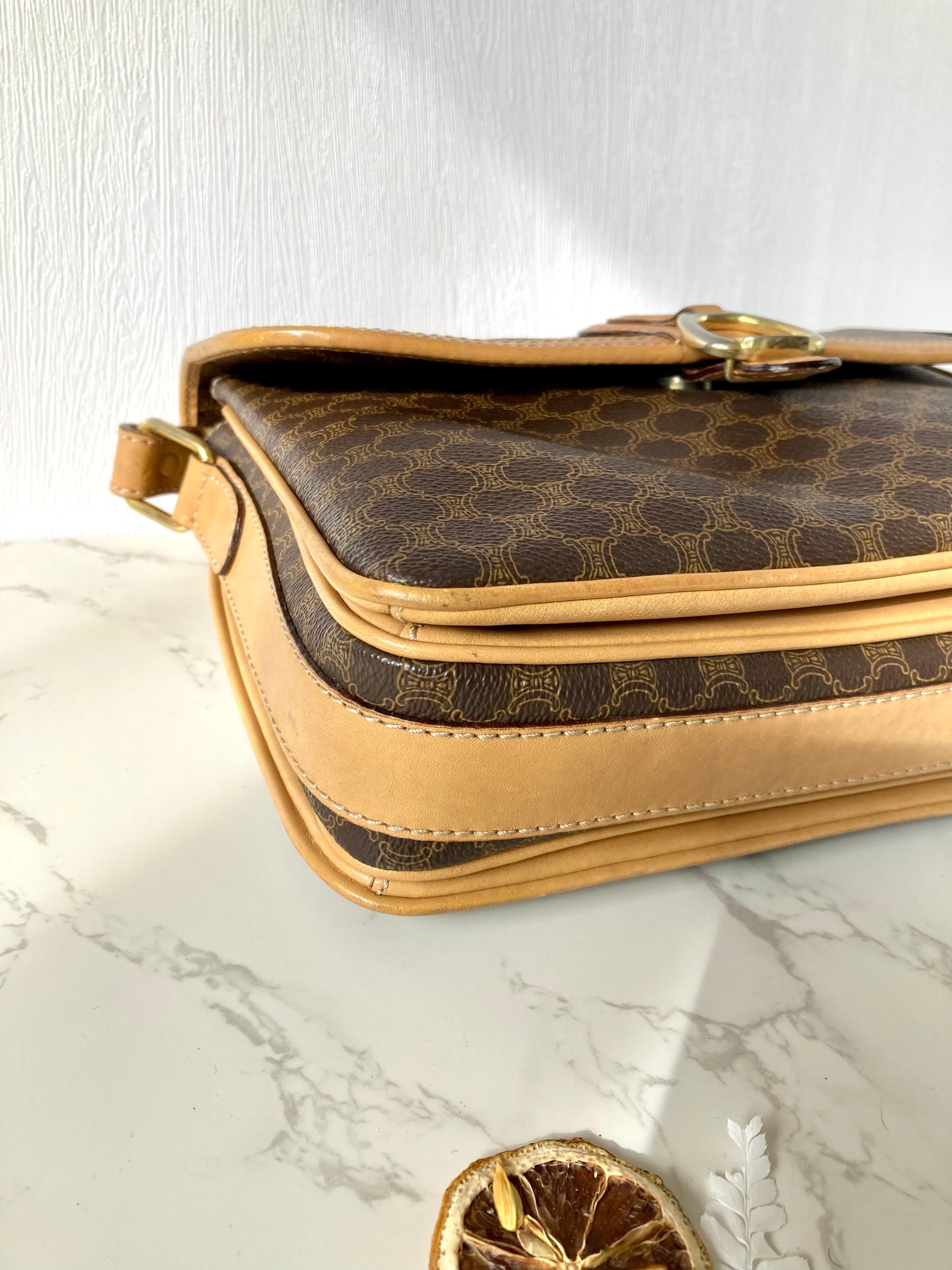 CELINE Monogram Camera Crossbody Bag