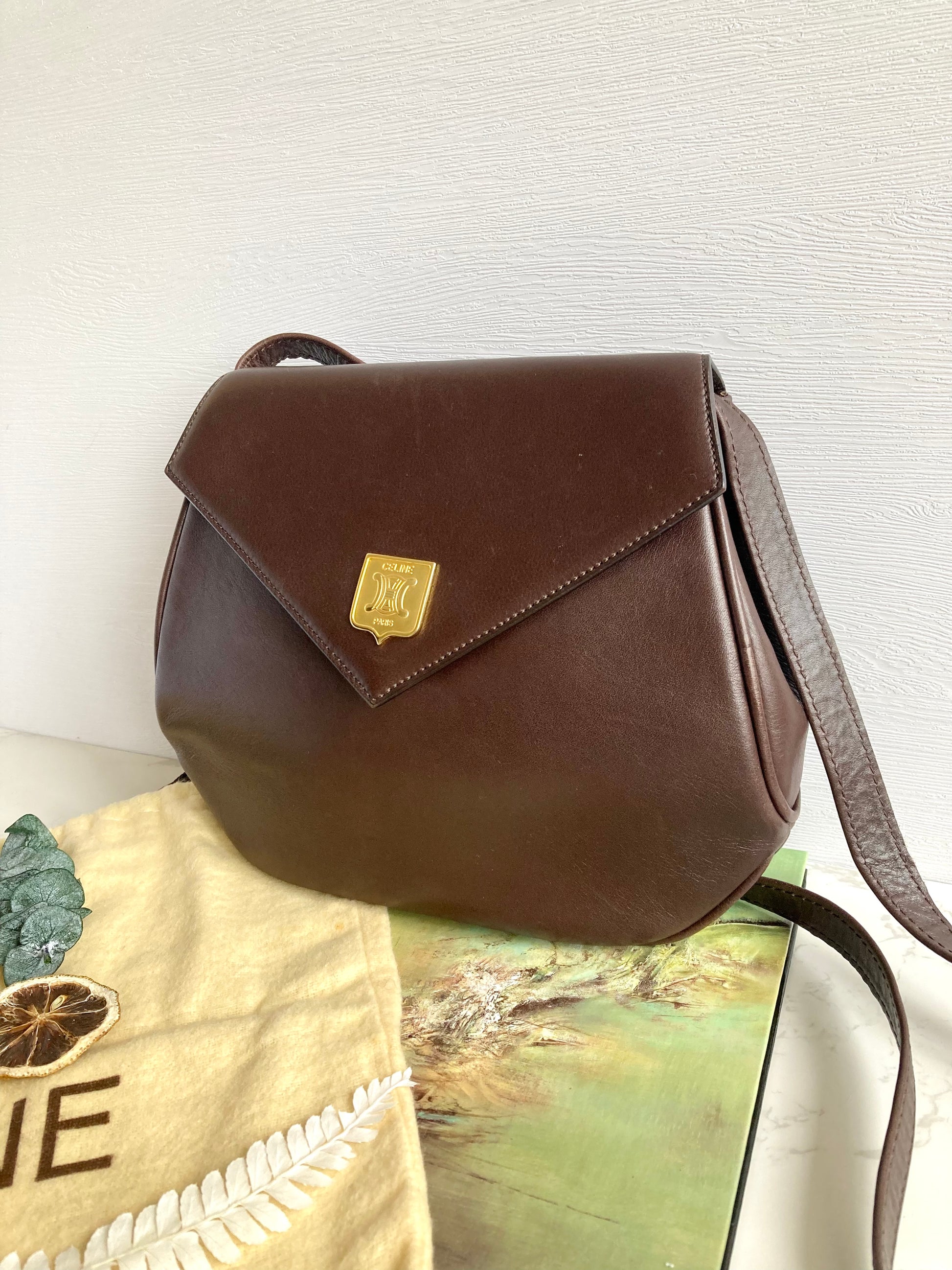 CELINE Triomphe Small Leather Bag