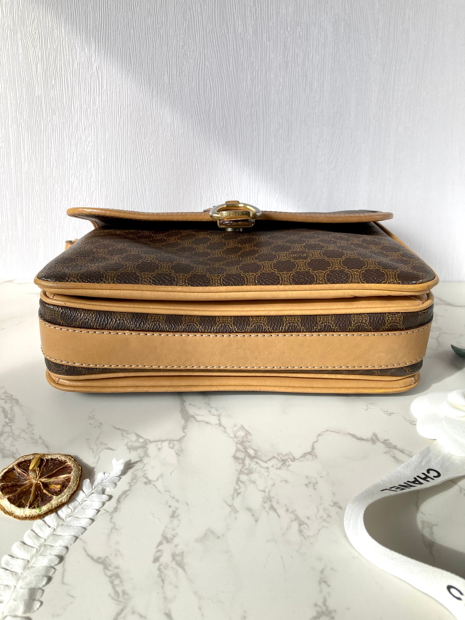 CELINE Monogram Camera Crossbody Bag