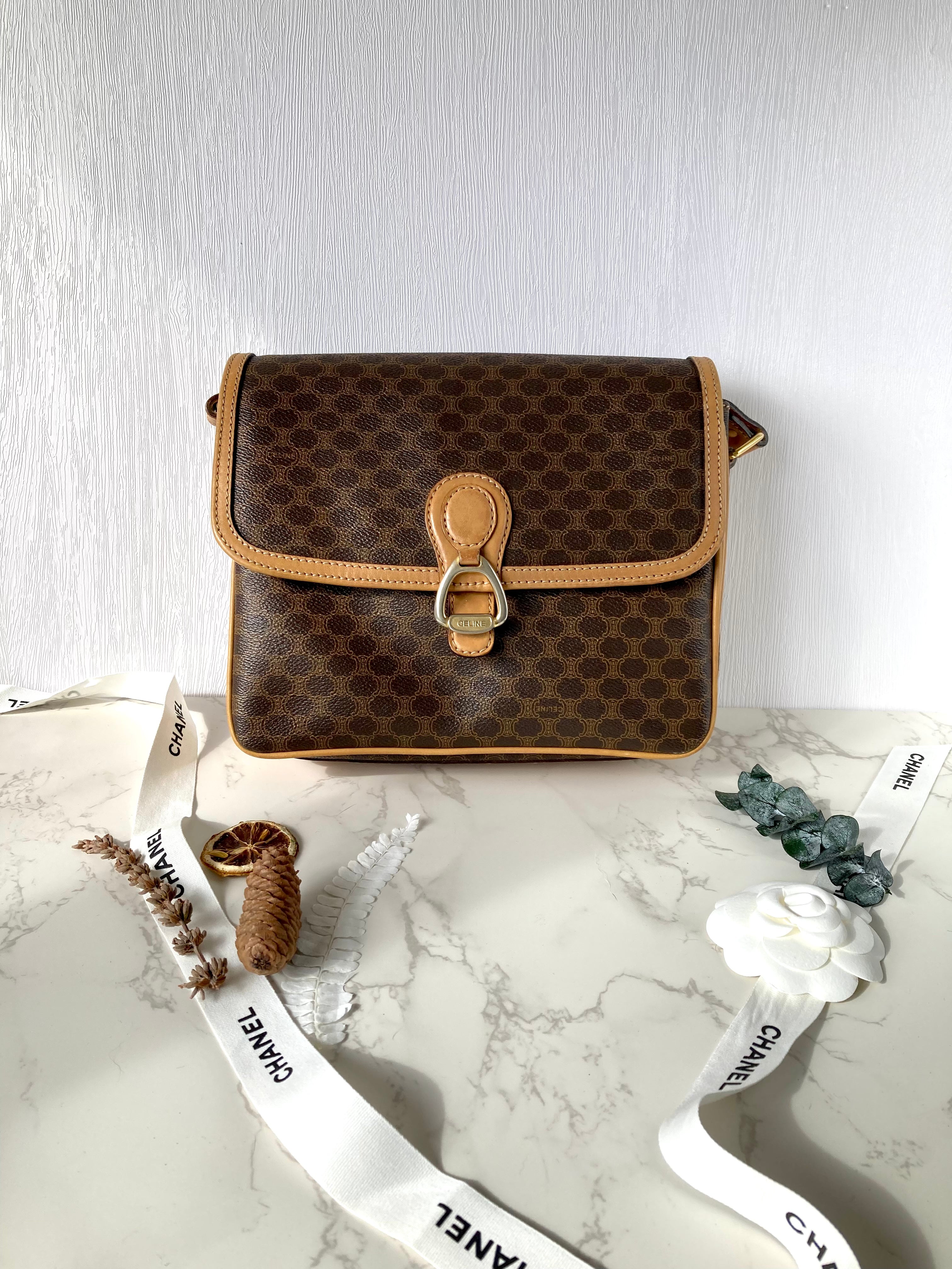CELINE Monogram Camera Crossbody Bag 