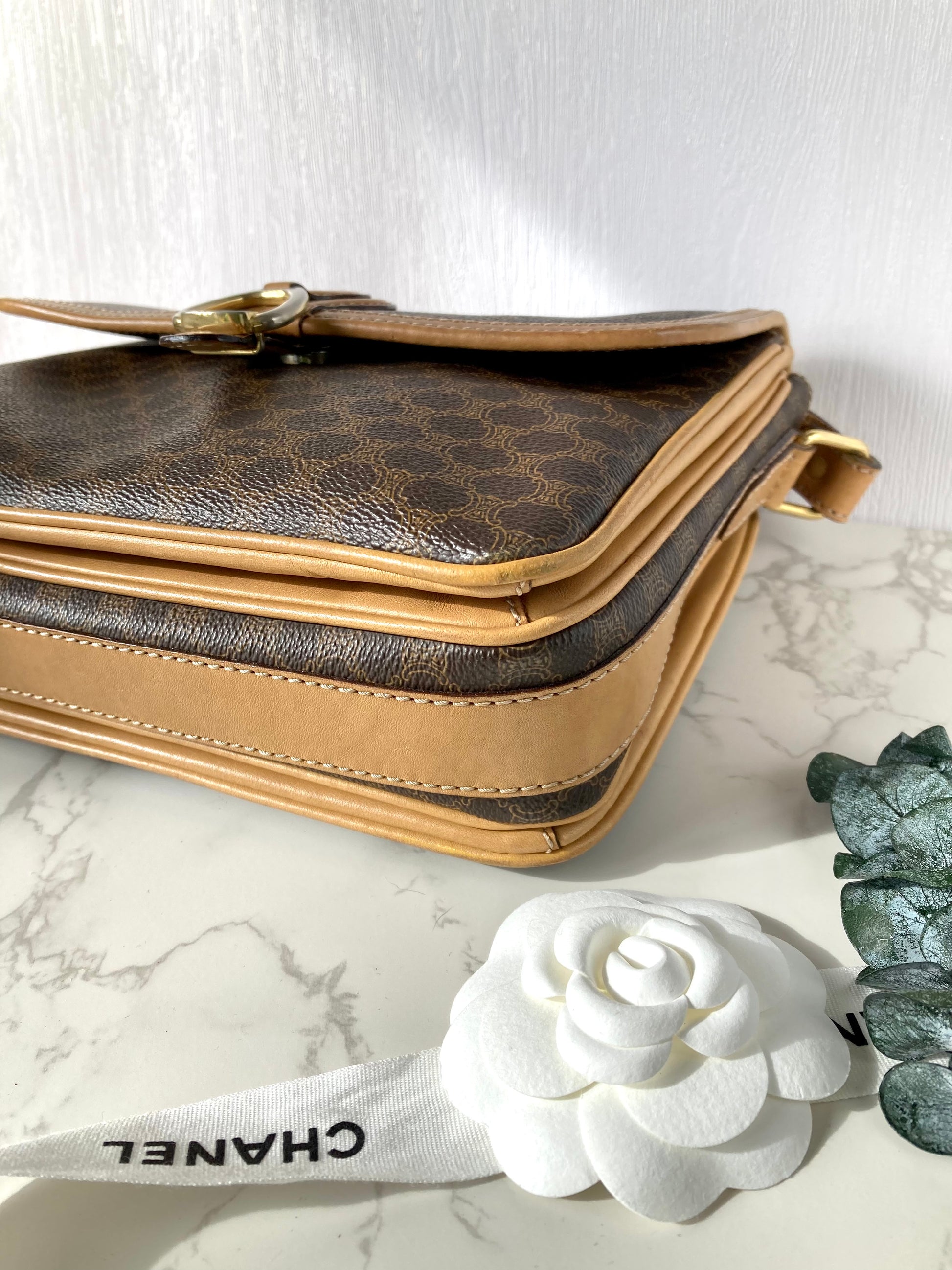 CELINE Monogram Camera Crossbody Bag