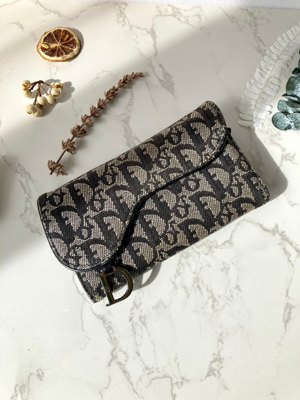 CHRISTIAN DIOR Black Trotter Saddle Wallet